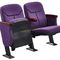 Low Back Modern Auditorium / Movie Theater Chairs Customized Color supplier