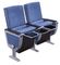 Luxury Multi - Function VIP Auditorium Chairs / Movie Theater Seats supplier